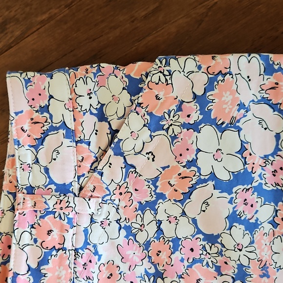 Talbots Blue and Pink Floral Shorts Size 8 - Picture 4 of 8